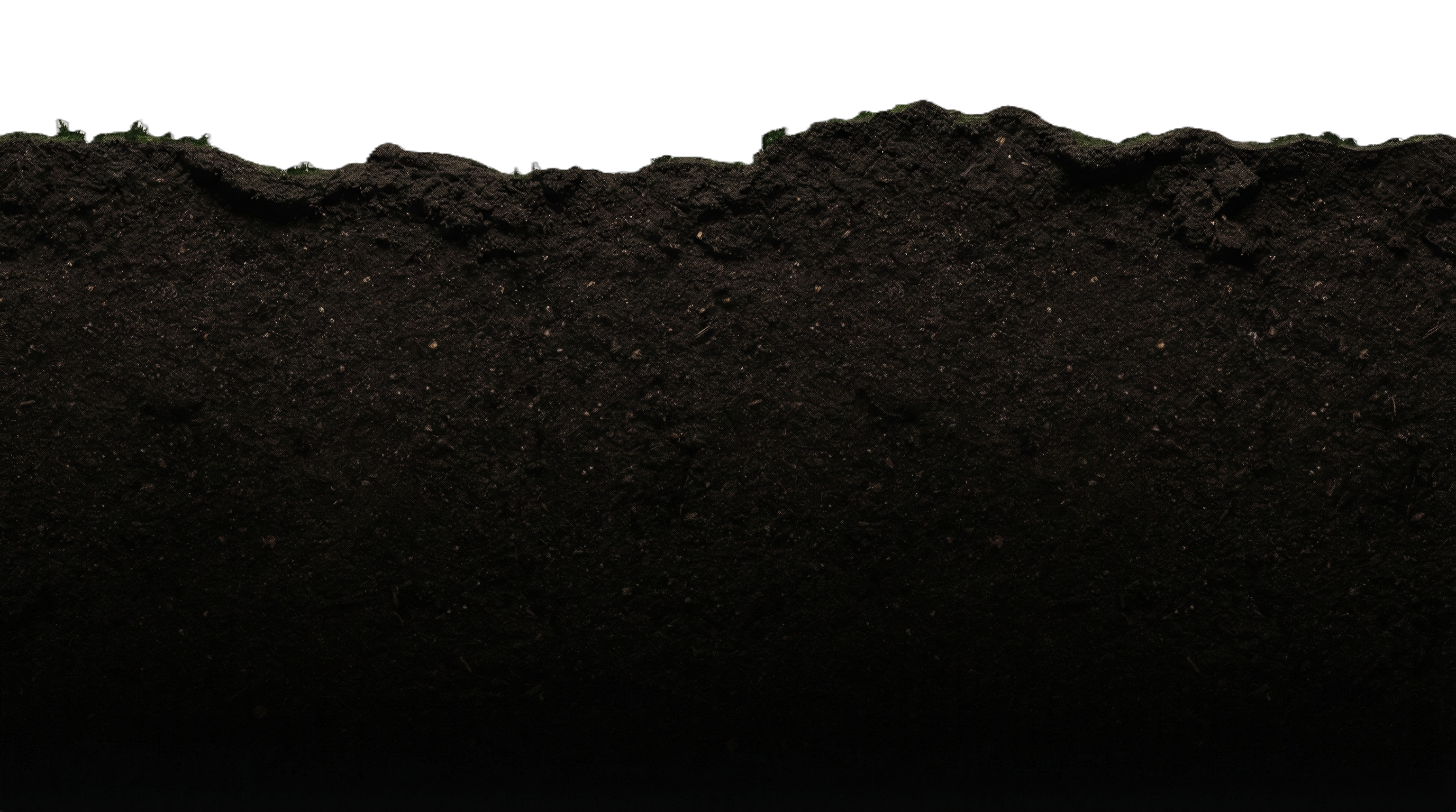 Soil Layer